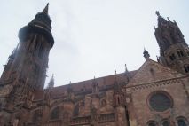 Das Freiburger Münster
