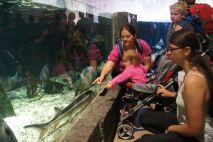 ... und große Fische