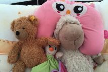 Große Versammlung der Kuscheltiere