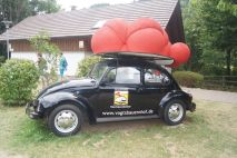 Käfer mit Bollenhut