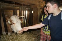 Echte Tiere im Museum