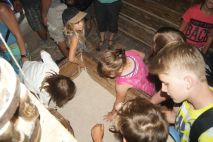 Frisch gemahlenes Mehl